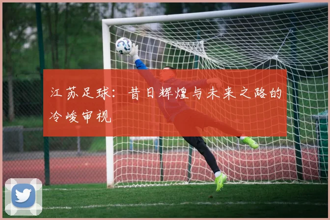 江苏足球：昔日辉煌与未来之路的冷峻审视