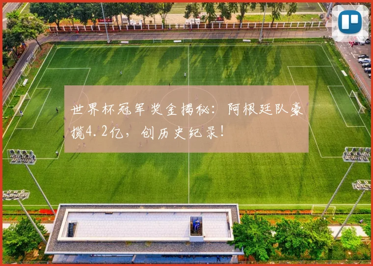 世界杯冠军奖金揭秘：阿根廷队豪揽4.2亿，创历史纪录！
