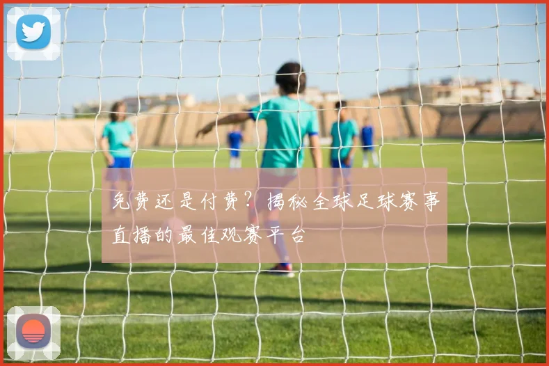 免费还是付费？揭秘全球足球赛事直播的最佳观赛平台