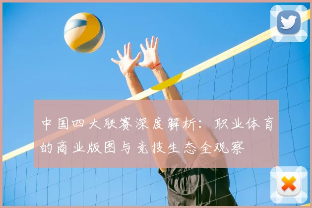 中国四大联赛深度解析：职业体育的商业版图与竞技生态全观察
